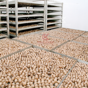 Tỏi đen cô đơn bóc vỏ KochiGold 200g - Ảnh 5