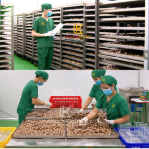 Tỏi đen cô đơn bóc vỏ KochiGold 200g - Ảnh 7