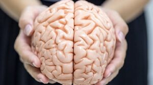 Não bộ cần được "tẩm bổ"