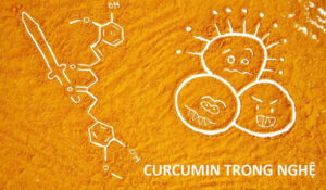 tác dụng curcumin chống ung thư