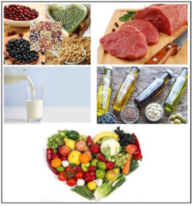 thực phẩm tốt cho rối loạn lipid máu