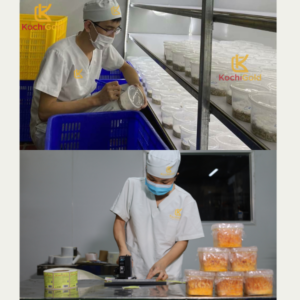 ĐÔNG TRÙNG HẠ THẢO TƯƠI HỘP 100G - Ảnh 6