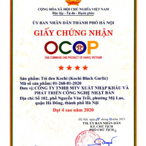 TỎI ĐEN CÔ ĐƠN BÓC VỎ ECO HỘP 200G - Ảnh 8