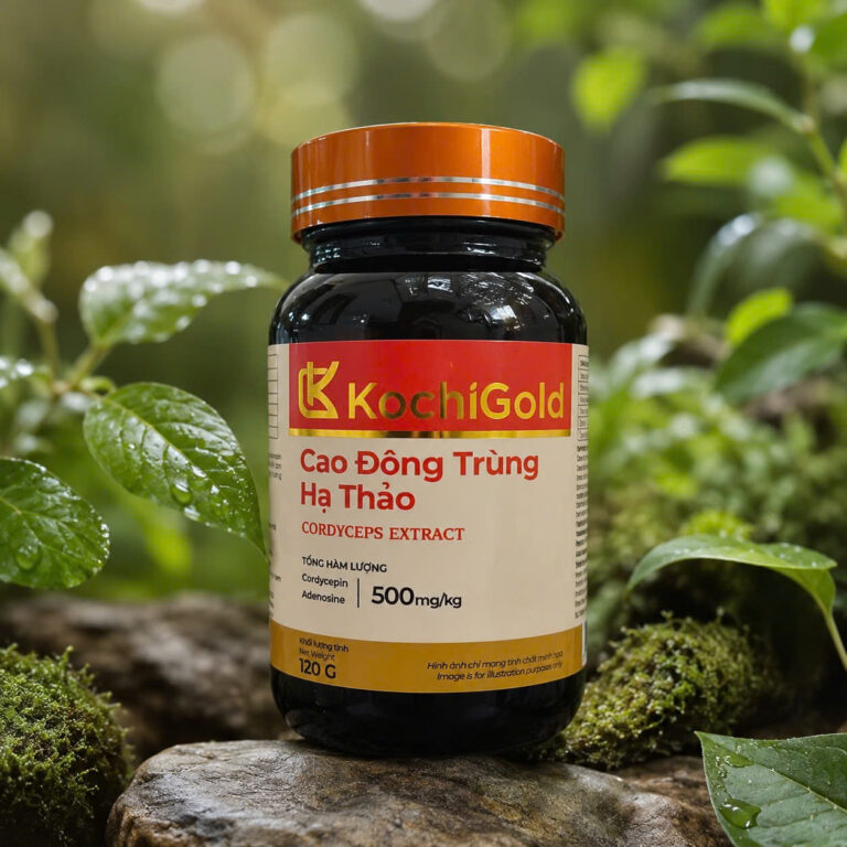 CAO ĐÔNG TRÙNG HẠ THẢO KOCHIGOLD HỘP 120G