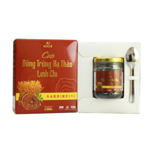 Alternative view of HỘP QUÀ TẶNG - CAO ĐÔNG TRÙNG HẠ THẢO LINH CHI + 02 TÁO ĐỎ