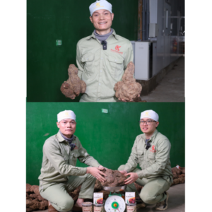 HÀ THỦ Ô ĐỎ CHẾ KOCHI DẠNG BỘT 600G - Ảnh 7