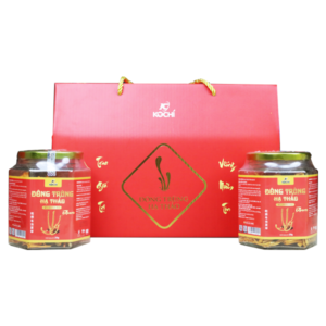 HỘP QUÀ TẶNG 02 ĐÔNG TRÙNG HẠ THẢO XUẤT KHẨU