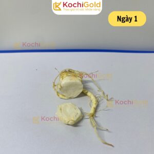 Alternative view of HẮC SÂM KOCHI GOLD