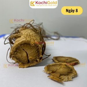 HẮC SÂM KOCHI GOLD - Ảnh 8