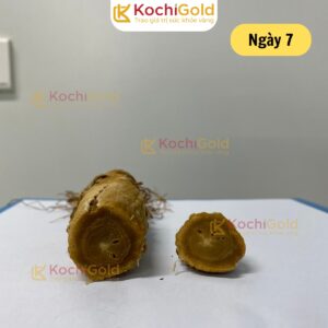 HẮC SÂM KOCHI GOLD - Ảnh 7