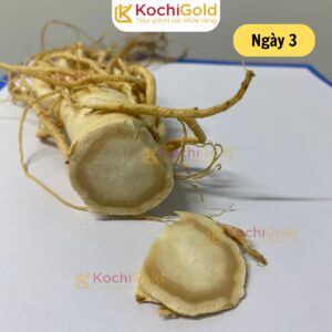 HẮC SÂM KOCHI GOLD - Ảnh 4