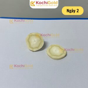 HẮC SÂM KOCHI GOLD - Ảnh 3