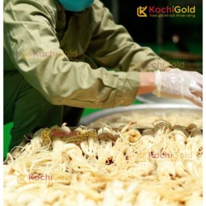 HẮC SÂM KOCHI GOLD - Ảnh 13
