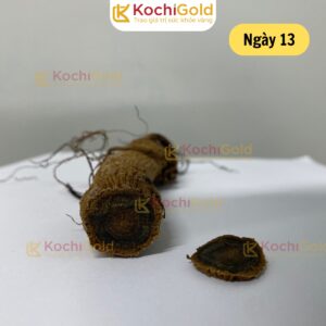 HẮC SÂM KOCHI GOLD