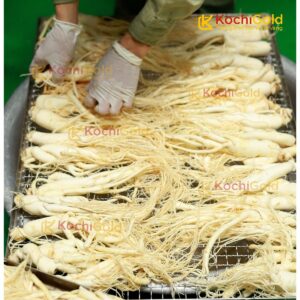 HẮC SÂM KOCHI GOLD - Ảnh 12