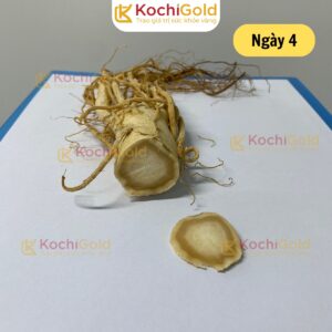 HẮC SÂM KOCHI GOLD - Ảnh 5