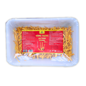 KOCHI EXPORT CORDYCEPS MUSHROOM BOX OF 50G
