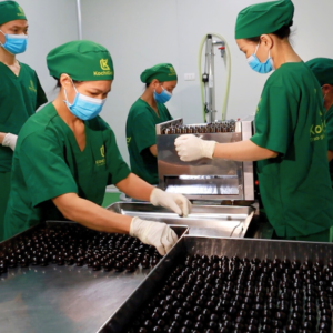 HÀ THỦ Ô ĐỎ PLUS TSG4000 ĐÔNG TRÙNG HẠ THẢO HỘP 250G - Ảnh 5