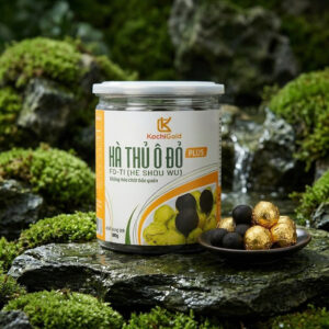 HÀ THỦ Ô ĐỎ PLUS TSG2000 ĐÔNG TRÙNG HẠ THẢO HỘP 500G
