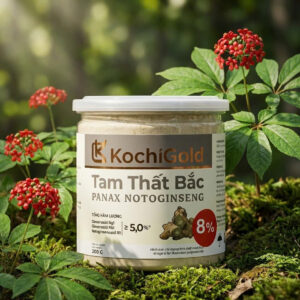 TAM THẤT BẮC DẠNG BỘT HỘP 200G