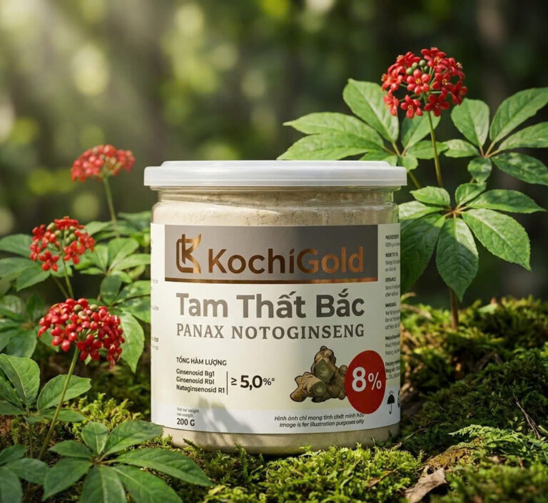 TAM THẤT BẮC DẠNG BỘT HỘP 200G