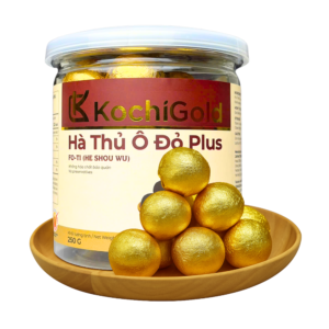 Alternative view of HÀ THỦ Ô ĐỎ PLUS TSG4000 ĐÔNG TRÙNG HẠ THẢO HỘP 250G